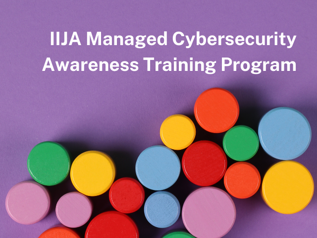 IIJA Managed Cybersecurity Awareness Training Program